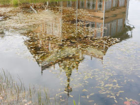 Reflection
