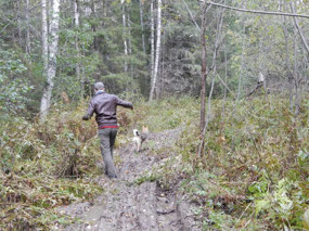 Trekking