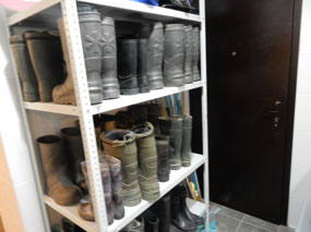Wellies