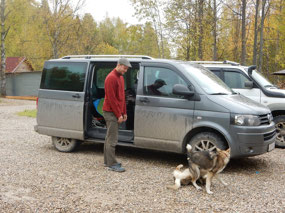 Wolf Dogs
