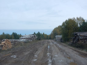 Logging Camp