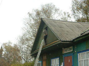 Window Escape