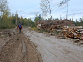 Log Camp