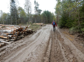 Logging Camp