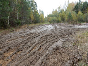 Mud Swamp