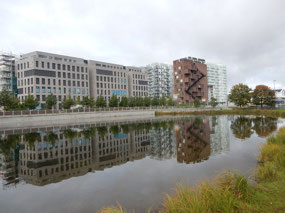 Reflection