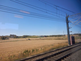 Landscape