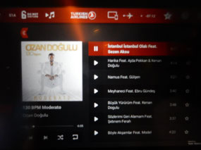 Ozan Dogulu