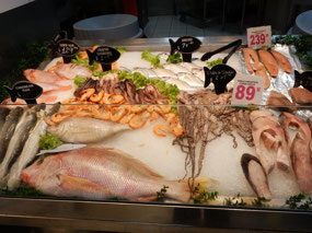 Fish