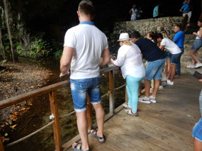 Visitors