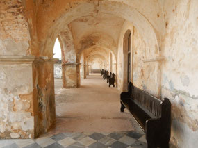 Walls