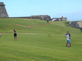 Kites