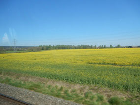 Crops