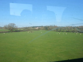 Fields