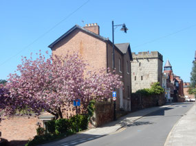 Street