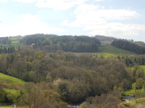 Welsh Valley