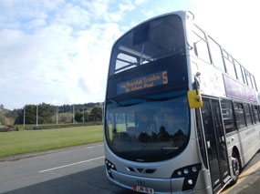 Bus Stop