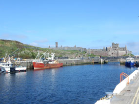 Harbour View