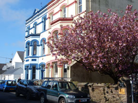 Spring Blossom