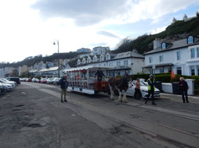 Horse Carriage