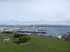 View of Douglas