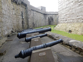 Cannons