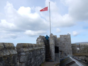 Flag
