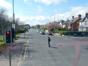 View from Bus