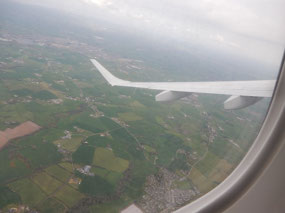 Fields