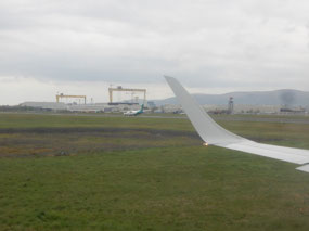 Goliath Cranes