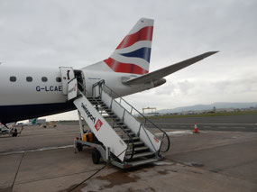 Rear Doors