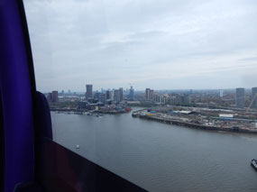 Docks View
