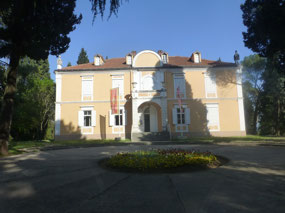 Petrovic Castle