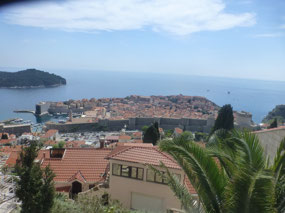 Last View