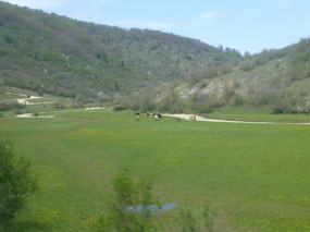 Fields
