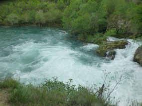 Gushing River