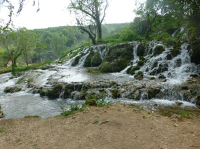 Streams