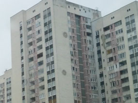 Bullet Holes