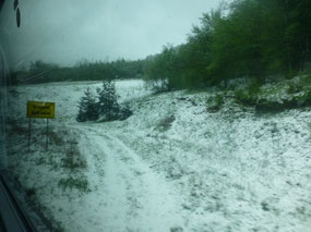 Snow Field