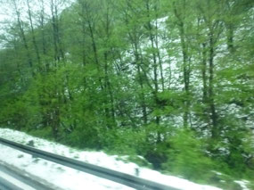 Snow