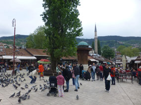 Pigeon Square