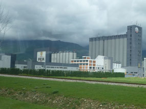 Peja Brewery