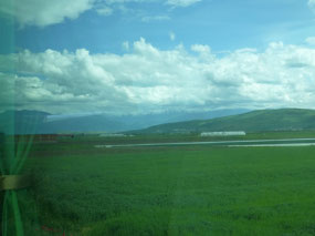 Landscape