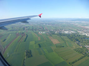 Fields