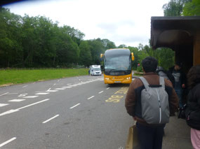 Return Bus