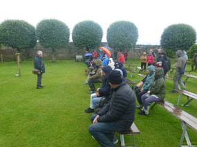 Falconry Show