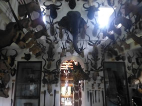 Hunting Museum