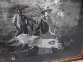 The Hunt