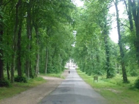 Walk to Castle