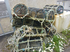Fishing Nets